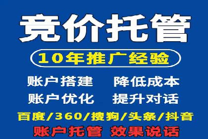 SEM广告案例：数据分析驱动营销决策